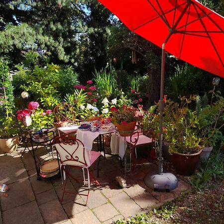 B&B Am Park Rheinfelden Buitenkant foto