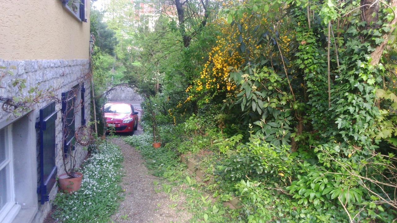 B&B Am Park Rheinfelden Buitenkant foto