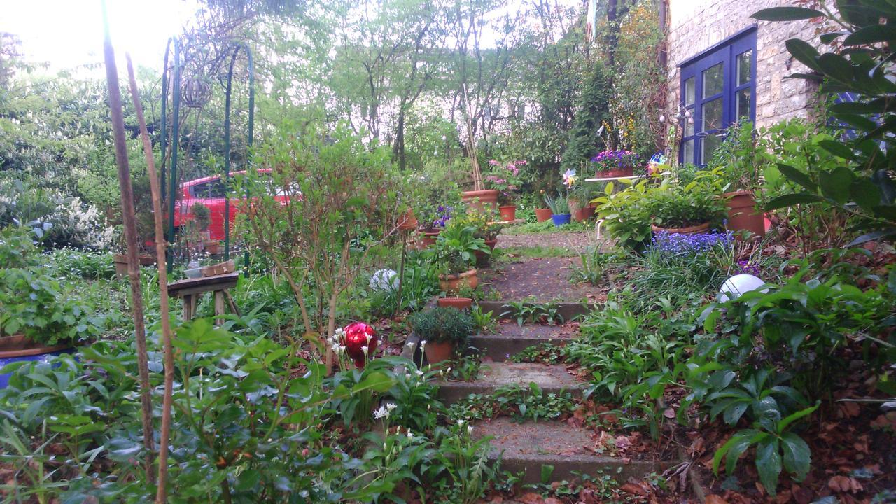 B&B Am Park Rheinfelden Buitenkant foto